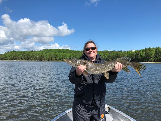 Michelle Brault - 819EB2FE-703C-4D4F-B712-88509C8682E1.jpeg